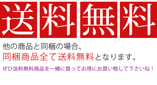 送料無料 送料無料